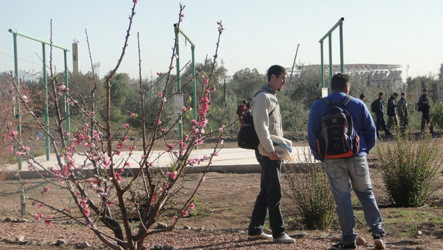 imagen Chicos del Liceo Agrícola colocaron referencias digitales para conocer su museo