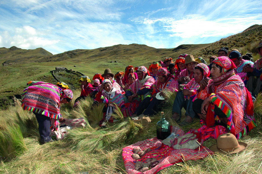imagen EDIUNC presenta su más reciente edición: «Papas andinas y quinua», un reencuentro con los cultivos ancestrales