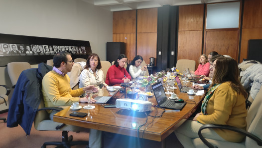 imagen Se impulsan nuevas acciones para la innovación curricular en la UNCUYO 