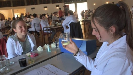 imagen Más de 400 estudiantes participarán de la Olimpíada Argentina de Ciencias Jr.