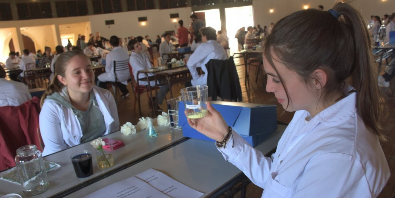 imagen Comienza la Olimpíada Argentina de Ciencias Junior
