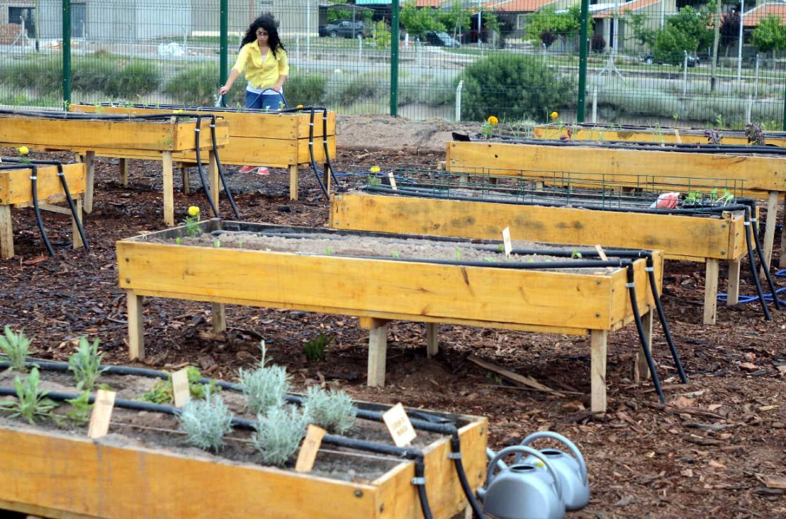 imagen Nuevas Inscripciones para capacitarse en "Huerta"
