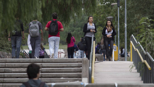 imagen Ciclo punto y seguimos: lanzan el taller teórico-práctico de escritura académica para trabajos finales
