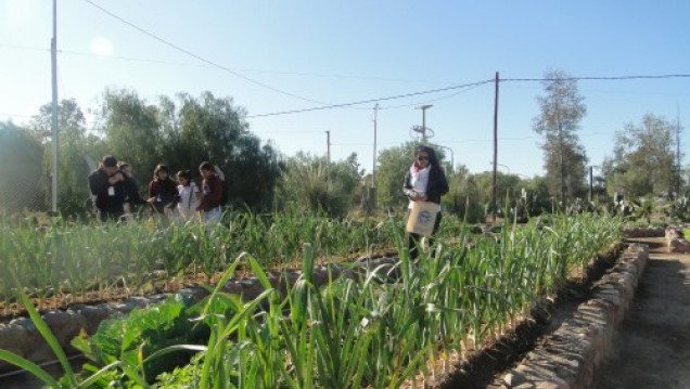 imagen "Huerta Orgánica" y "Apicultura": nuevos cursos-taller del Liceo Agrícola