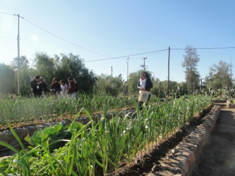 imagen "Huerta Orgánica" y "Apicultura": nuevos cursos-taller del Liceo Agrícola