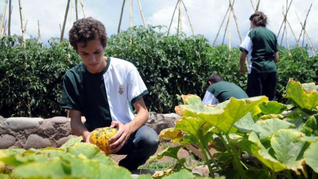 imagen Estudiantes del LAE podrán estudiar en Francia