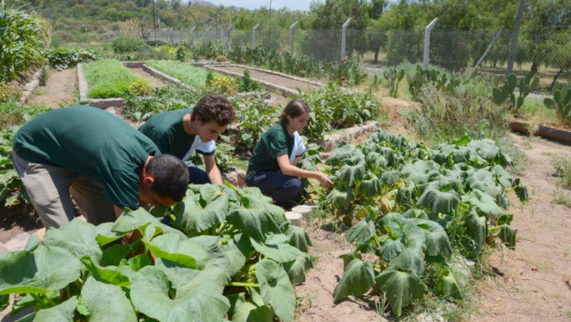 imagen Aspirantes a ingresar al Liceo Agrícola podrán visitar sus instalaciones