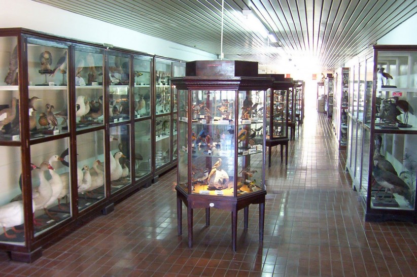 imagen Liceo Agrícola protagonista de "Mendoza Tierra de Museos"