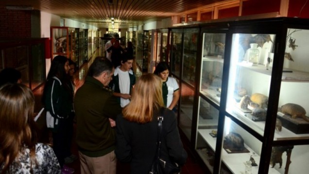 imagen UNCUYO celebra la Semana de los Museos Universitarios