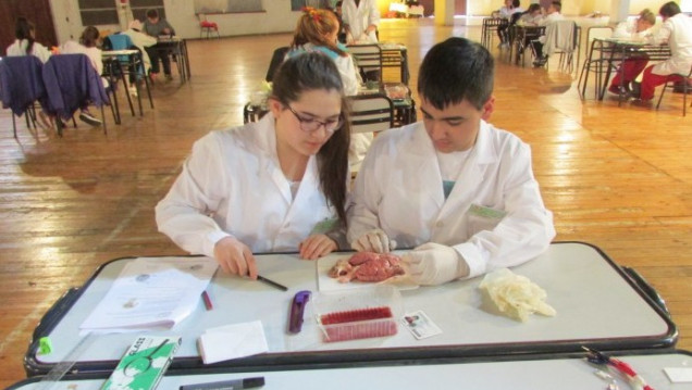 imagen Comienza la Olimpiada Argentina de Ciencias Junior