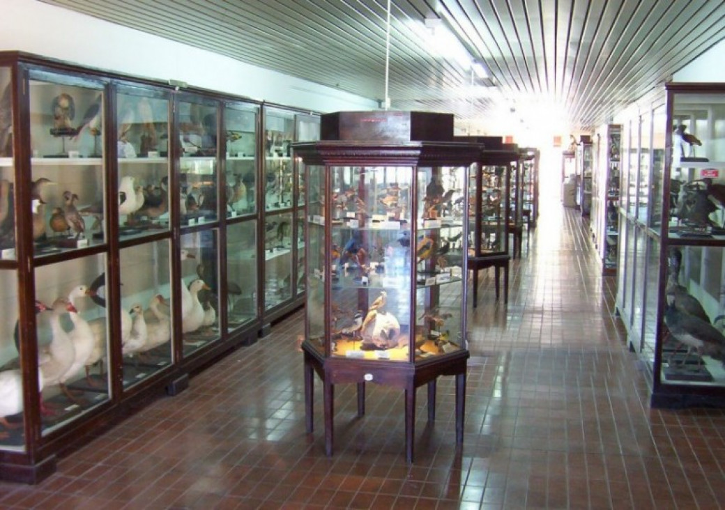 imagen LAE celebrará el Día Internacional de los Museos