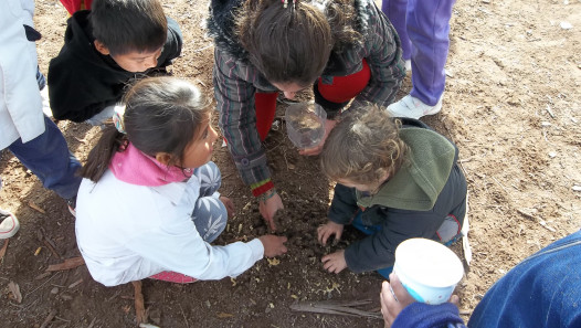 imagen  Nueva línea de proyectos promueven la extensión y la curricularización de las PSE