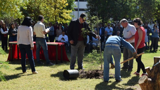 imagen Plantaron algarrobos para recordar a desaparecidos de la Facultad de Ciencias Agrarias