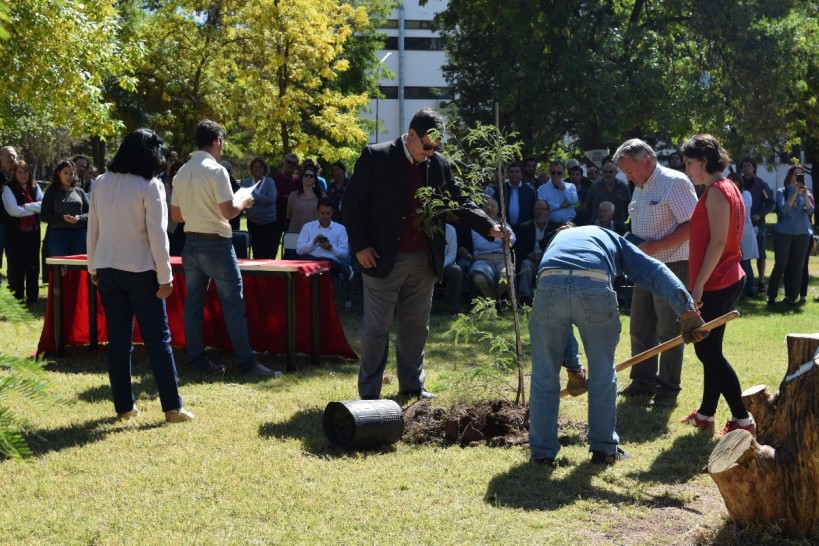 imagen Plantaron algarrobos para recordar a desaparecidos de la Facultad de Ciencias Agrarias