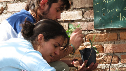 imagen Formación y trabajo colectivo para la producción campesina de alimentos agroecológicos