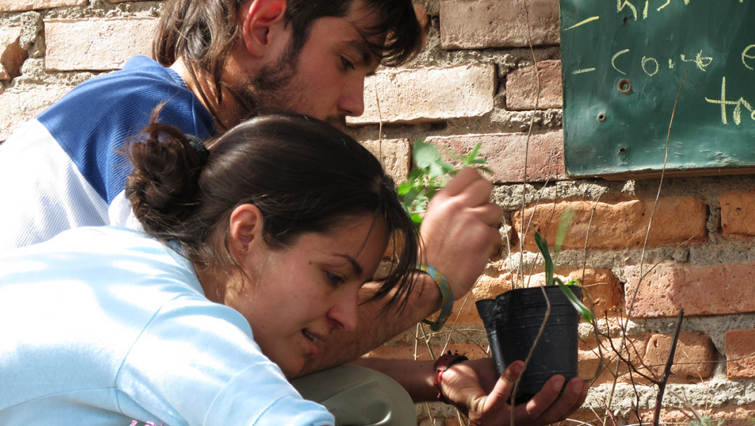imagen Formación y trabajo colectivo para la producción campesina de alimentos agroecológicos