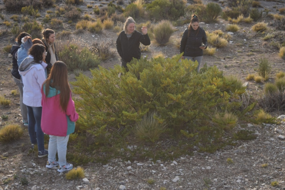 imagen Urdimbre natural en el paraje Las Loicas, Malargüe