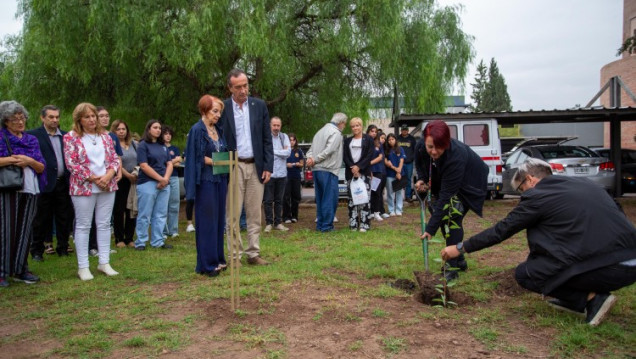 imagen La memoria sigue viva: la UNCUYO plantó eucaliptos para recordar a dos estudiantes