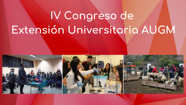 imagen Compartieron experiencias de extensión universitaria en publicación latinoamericana