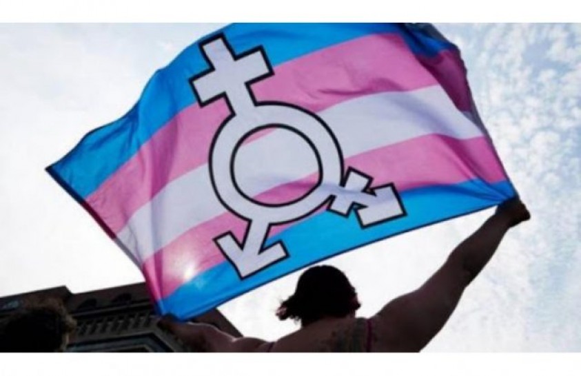 imagen 31 de marzo: Día de la Visibilidad Travesti Trans