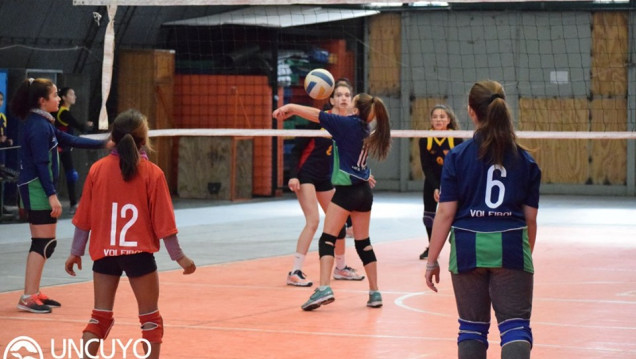 imagen UNCuyo será sede del 8° Encuentro de Mini voley