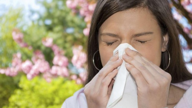 imagen Primavera: época de alergias