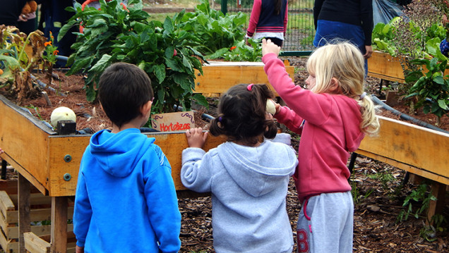 imagen Taller de huerta para hijos del personal de la UNCuyo