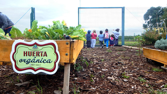 imagen Niños visitaron la Huerta del Comedor Universitario