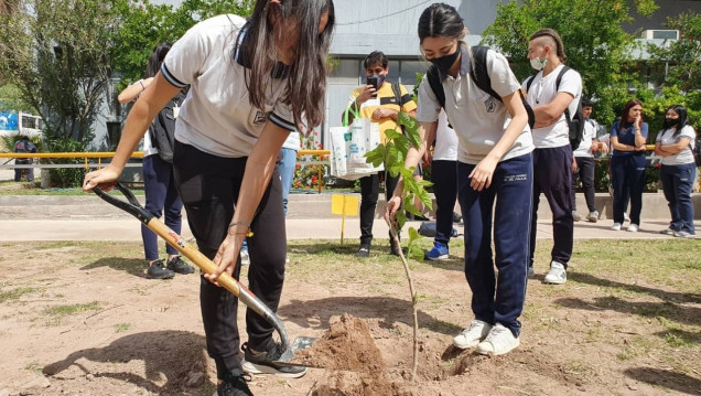 imagen Cierre de la campaña "Doná un árbol, plantá vida"