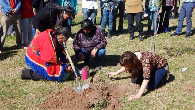 imagen Lanzarán un Seminario sobre los pueblos originarios