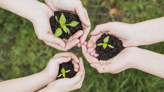 imagen Se abre la Convocatoria para el "Voluntariado Construyendo Sustentabilidad"