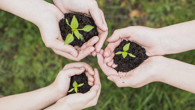 imagen Se abre la Convocatoria para el "Voluntariado Construyendo Sustentabilidad"