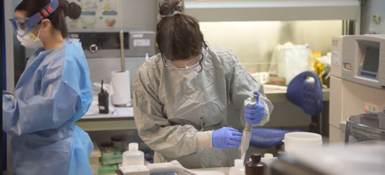 imagen Programa de Articulación y Fortalecimiento Federal de las Capacidades en Ciencia y Tecnología COVID-19