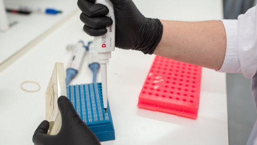 imagen Biotecnología y Ciencia Abierta: presentarán a la UNCUYO como el Hub para América Latina de la Red Reclone
