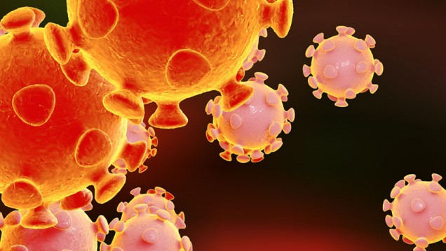 imagen Elsevier y The New England Journal of Medicine dan acceso completo a su contenido sobre el COVID-19 para acelerar la lucha contra la pandemia.