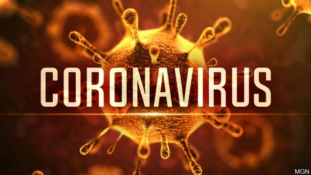 imagen Convocatoria investigadores Coronavirus