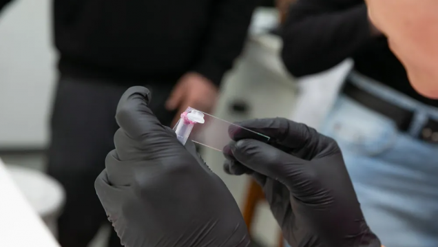 imagen Convocatoria de Apoyo a la Investigación Científica (AIC)