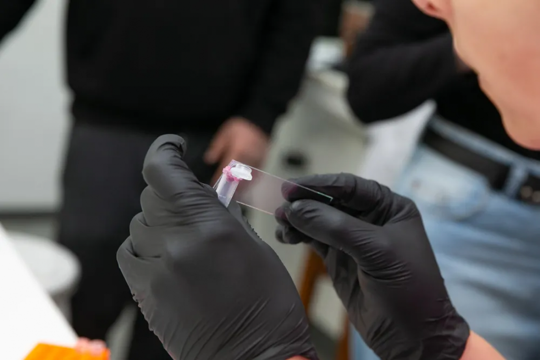 imagen Convocatoria de Apoyo a la Investigación Científica (AIC)