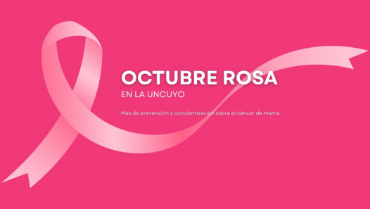 imagen Acciones en la UNCUYO en el mes de concientización del cáncer de mama