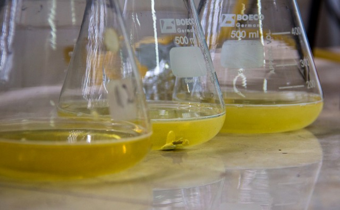 imagen PICT 2020: Convocatoria abierta para presentar proyectos de investigación
