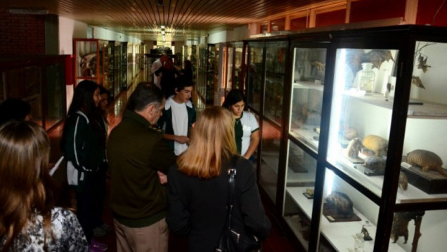 imagen La Universidad abrirá las puertas de sus museos