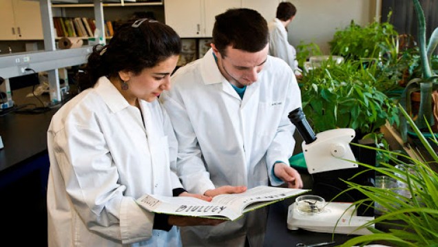 imagen Resultados Becas EVC-CIN 2019: 37 estudiantes UNCUYO obtendrán financiamiento para potenciar sus vocaciones científicas
