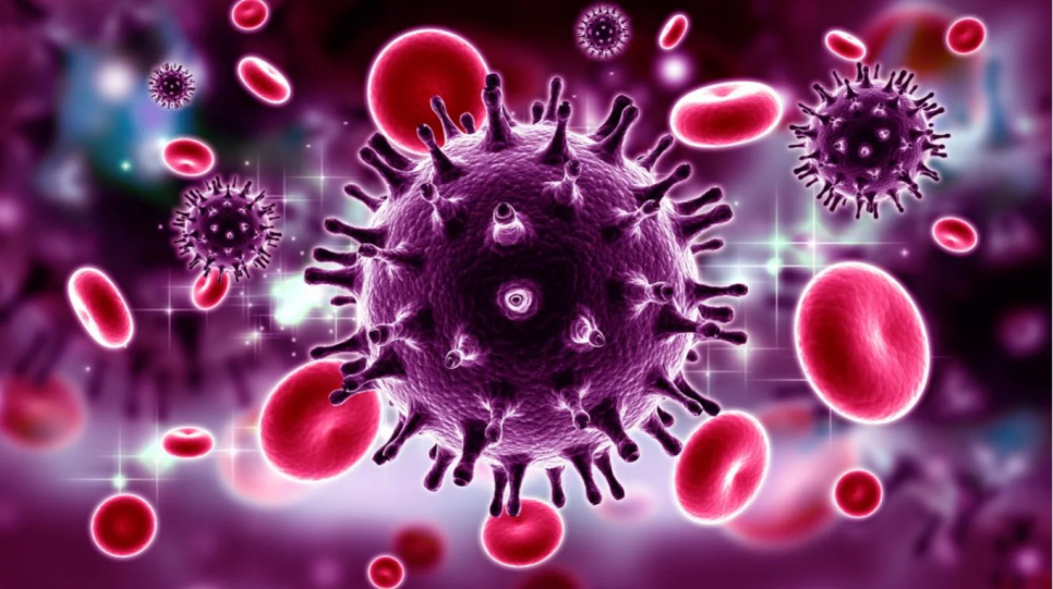 imagen Especialista francesa disertará sobre inmunología e infecciones producto del VIH