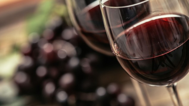 imagen Programa de innovación de la industria vitivinícola  