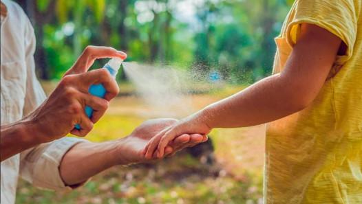 imagen Vacaciones sin Dengue: qué hacer para disfrutar del verano