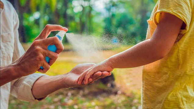 imagen Vacaciones sin Dengue: qué hacer para disfrutar del verano
