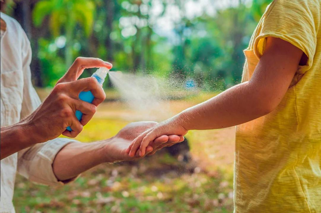 imagen Vacaciones sin Dengue: qué hacer para disfrutar del verano