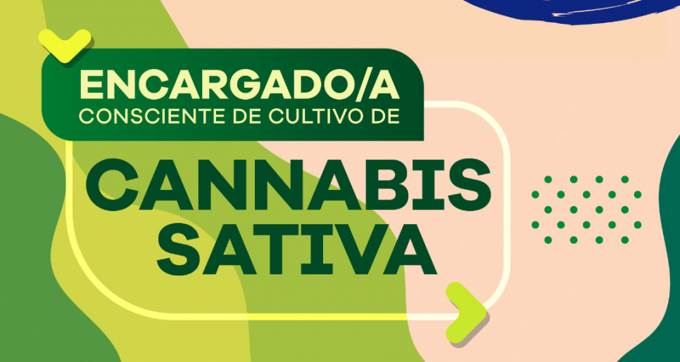 imagen Inscripciones abiertas para el curso de formación en cultivo de cannabis