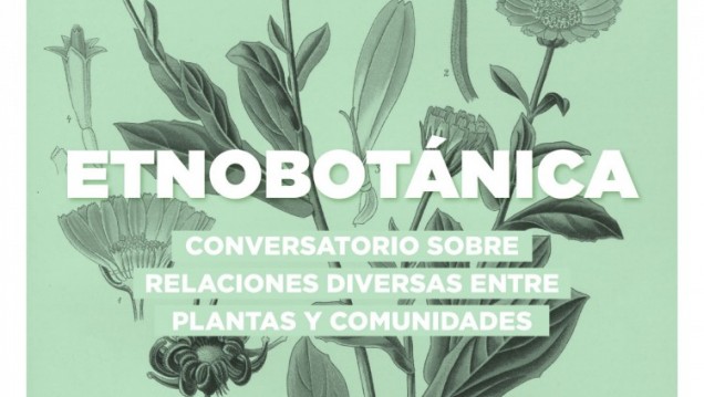 imagen Suspenden el conversatorio "Etnobotánica: Relaciones diversas entre plantas y comunidades"