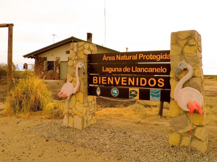 imagen Finalizó el proyecto "Encuentro de miradas sobre educación ambiental para la biodiversidad en áreas protegidas de Mendoza"